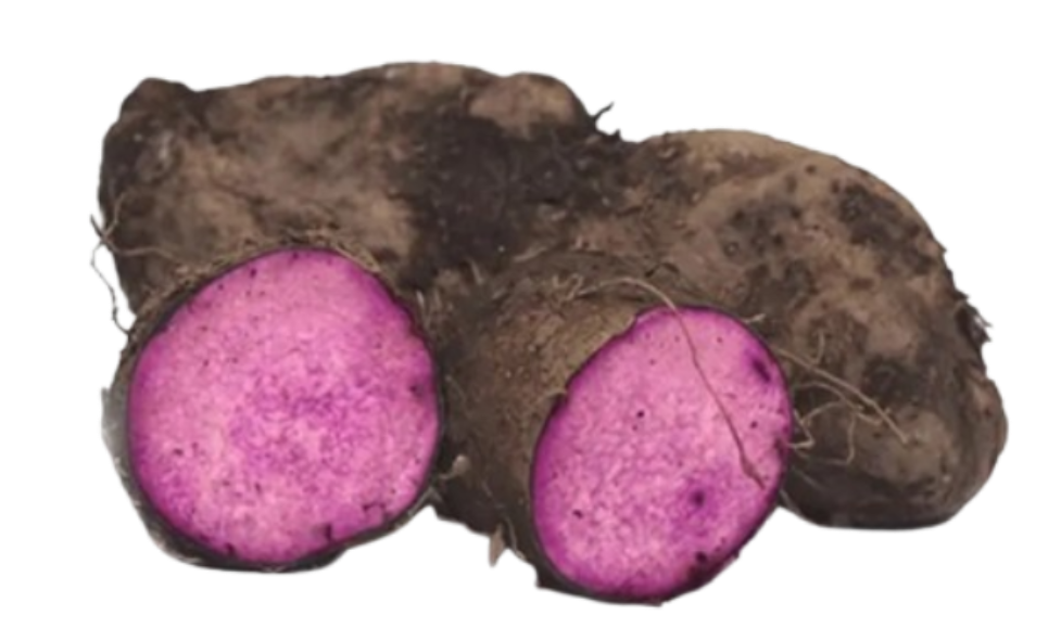 Purple Yam Soup Pack