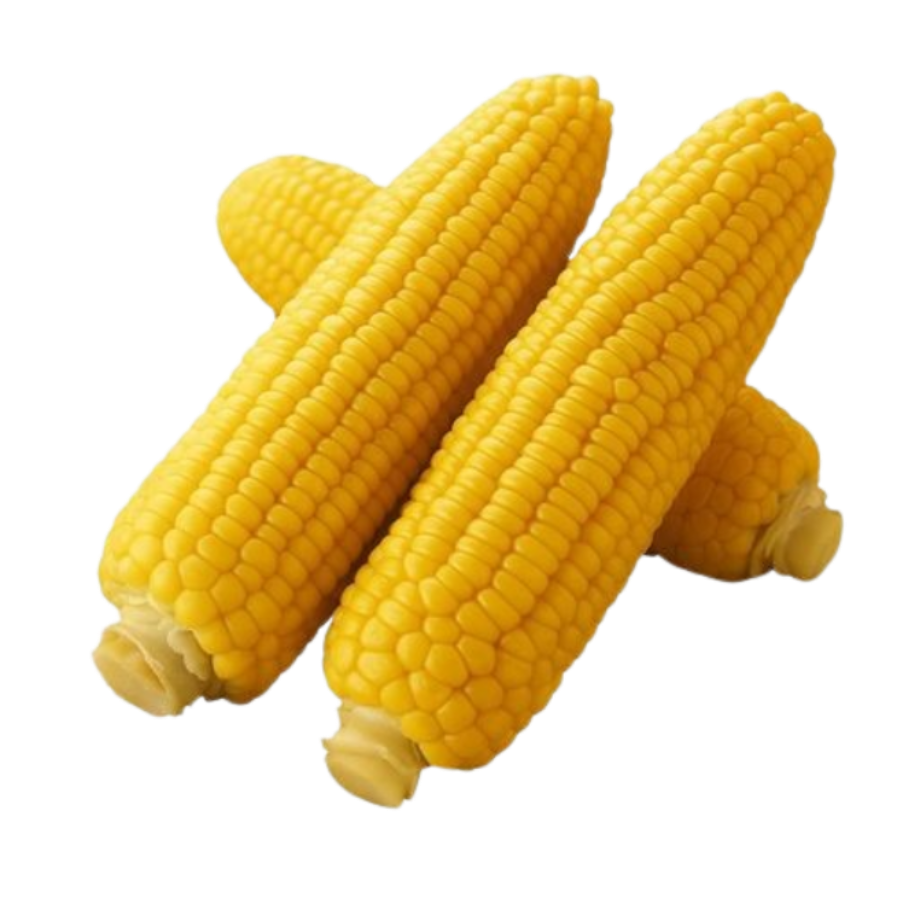 Steamed Sweet Corn