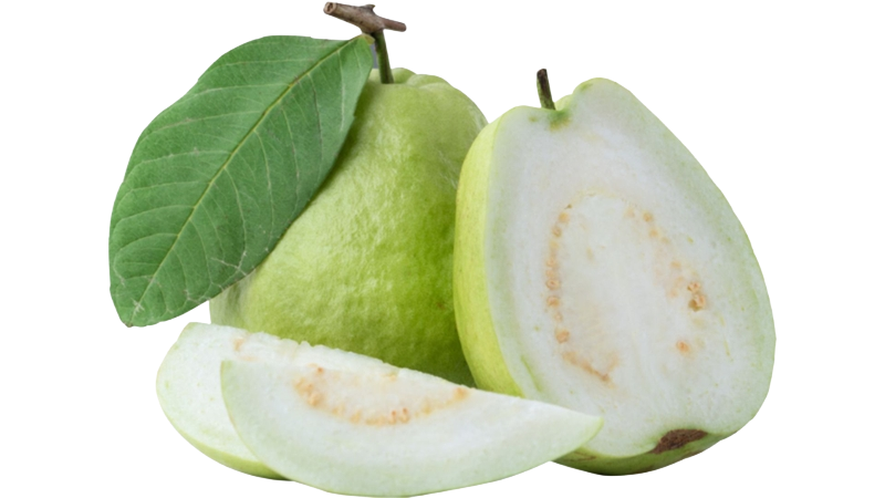 Pre-prepare White Flesh Guava